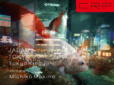 Kindleで写真集「東京金魚」を出版しました。
東京金魚は2012年より地道に撮り続けているシリーズです。
新宿、渋谷、銀座などの街と人々を撮り、今の東京の姿を表現しています。
よろしくお願いします。